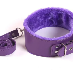 LEATHER RING COLLAR WITH LEASH (PURPLE)