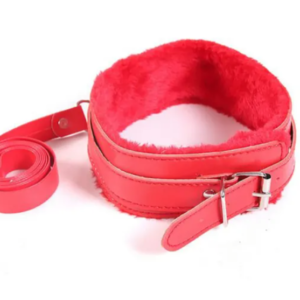 LEATHER RING COLLAR WITH LEASH (RED)