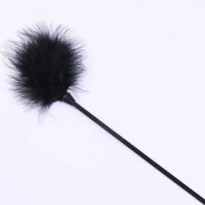 FEATHER TEASER WHIP