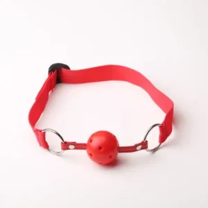 GAG BALL RESTRAINT (RED)