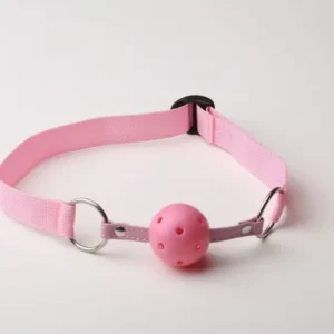 GAG BALL RESTRAINT (PINK)