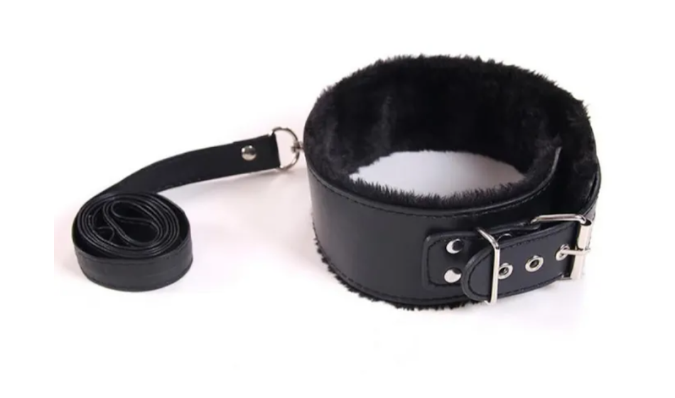 LEATHER COLLER WITH LEASH - Image 3