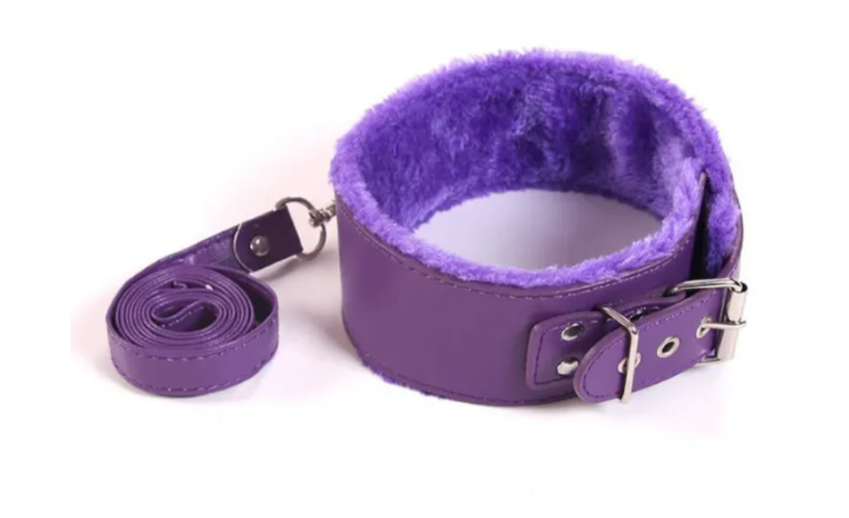 LEATHER COLLER WITH LEASH