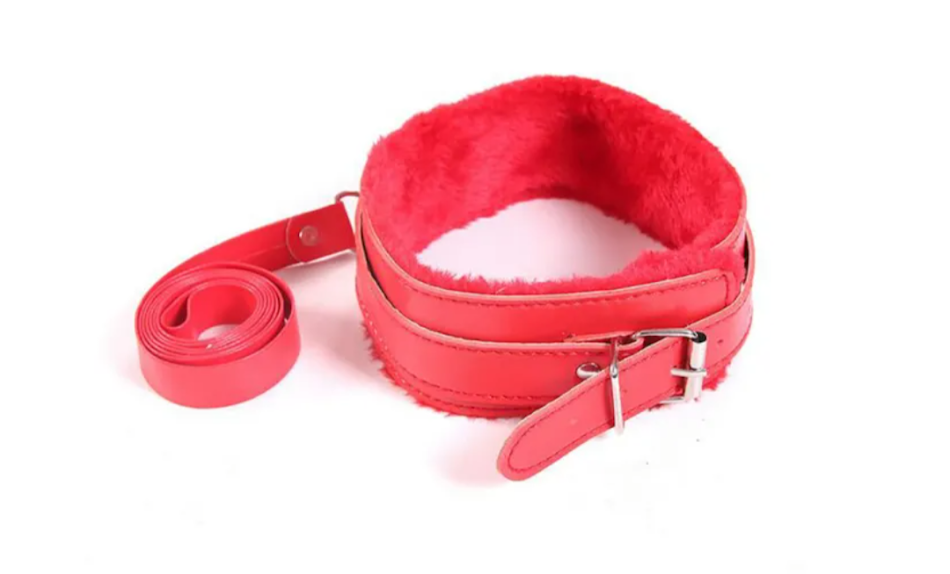 LEATHER COLLAR WITH LEASH