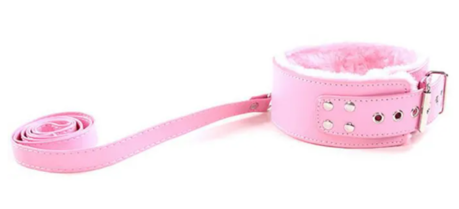 LEATHER COLLER WITH LEASH - Image 4