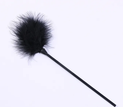 FEATHER TEASER WHIP